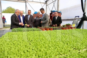 400 bin k��l�k sebze fidesi da��t�ma haz�r